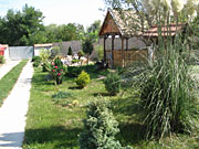 Најлепша башта, у дворишту, улицa Јована Поповића бр. 57, власника Мићин Бранислава